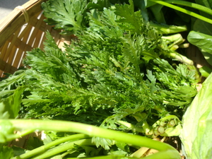 佐藤さんの無農薬野菜入荷しました