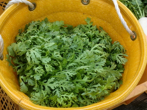11日は無農薬野菜がたくさん入荷です！