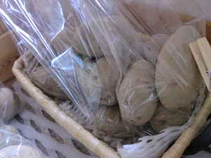 長野のサラダ野菜＆北海道じゃがいも入荷