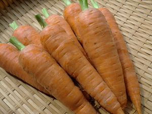 16日は減農薬りんご、無農薬野菜ぞくぞく入荷