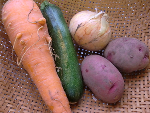 夏野菜フライ揚げます