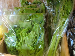 朝霧渡辺さんの無農薬野菜