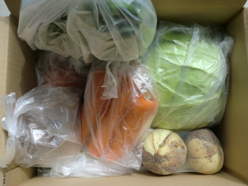 野菜保存　鮮度を長持ちさせる最適な方法をご紹介
