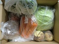 野菜で困っているお客様から、野菜発送のご依頼が増加中