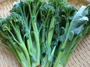 土曜は野菜たくさん入荷してきます！