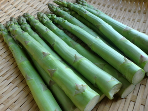 土曜は野菜たくさん入荷してきます！