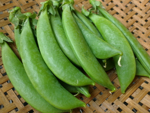 調理時間たったの１分！忙しい時に便利な野菜