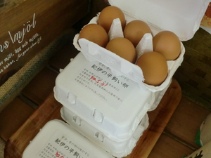 安心安全なたまご入荷しました