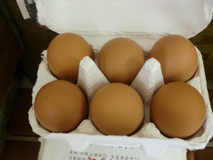 安心安全なたまご入荷しました