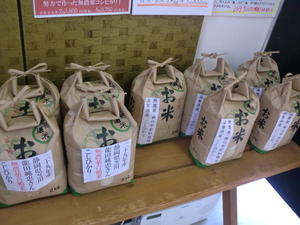 芝川の合鴨米無農薬こしひかり入荷