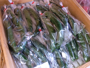 芝川の合鴨米無農薬こしひかり入荷