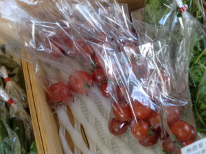 芝川の合鴨米無農薬こしひかり入荷