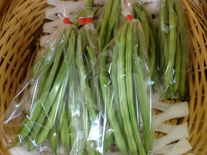 芝川の合鴨米無農薬こしひかり入荷