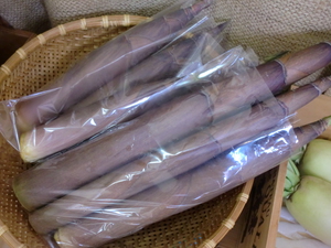 芝川の合鴨米無農薬こしひかり入荷