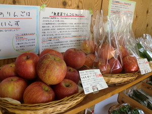 糖度14のとっても甘いりんごふじ入荷　熊本野菜も入荷です