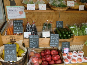 超新鮮！朝採り無農薬野菜入荷しました！！