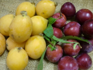 19日　地元のフレッシュフルーツ＆野菜たくさん入荷します