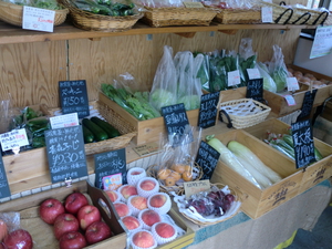 久しぶりの晴天！朝採り野菜＆桃が入荷しました