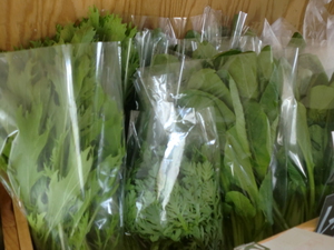 久しぶりの晴天！朝採り野菜＆桃が入荷しました