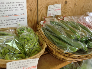 久しぶりの晴天！朝採り野菜＆桃が入荷しました