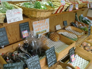 13日も地元の朝採り新鮮野菜入ります！