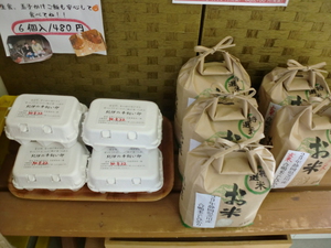 安心してたまごかけご飯た食べられるたまご入荷