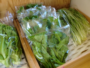 つるむらさきは夏バテ防止野菜