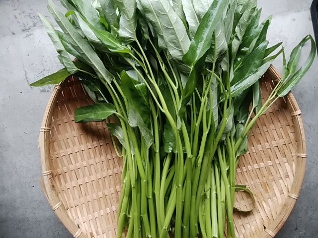 雨にも負けず　農家さんのおかげで　野菜も桃もたくさん入荷