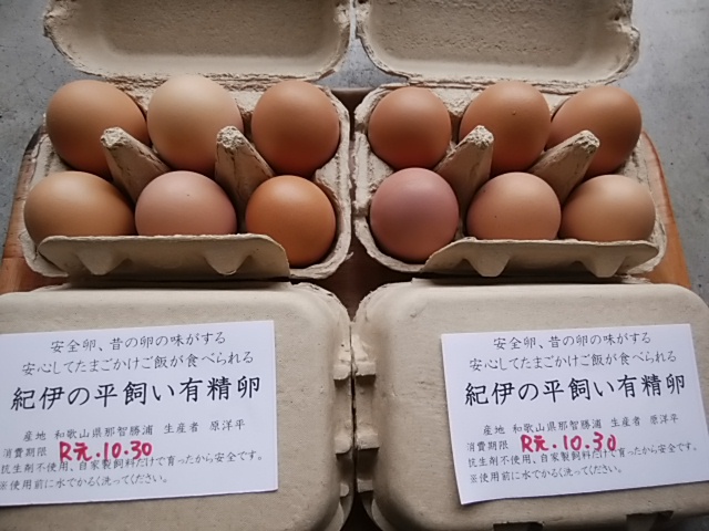 たまご入荷しました