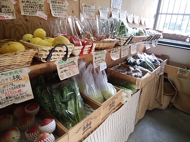 採れたて朝採り潮野菜が入荷あり　大玉甘い完熟桃も入荷です