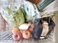 フィールの配達　重い荷物　家事をちょっとだけ楽にします
