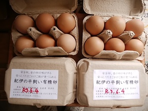 生卵が安心して食べられる平飼い有精卵　朝採り地物野菜と地物果物　4日もぞくぞく入荷