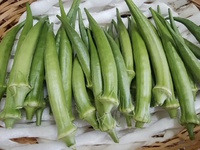 雨の日配達サービスご利用増加中　当日朝採り新鮮野菜を自宅へお届け
