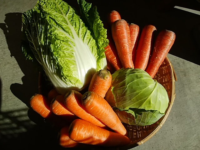 京丹後の浜育ち無農薬野菜入荷しました