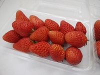 ジュワーっと甘くて　香り強烈　苺かなみひめ販売　14日いちごがおすすめ