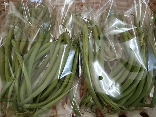 胡麻和え　マヨ和え　炒め物　こりこりさくさく　インゲン