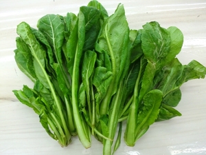 京都の無農薬野菜入荷