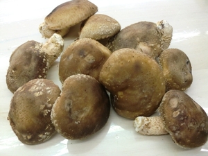 椎茸入荷！生姜とニンジンも入荷！
