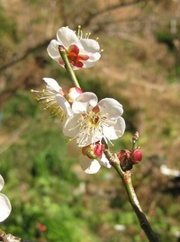 歴代2位