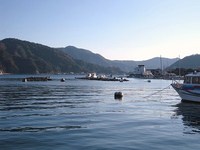 ふるさとの海