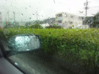 雨
