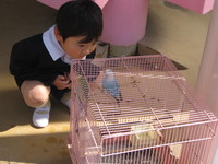 あれ？インコ君のおなまえ、なんだっけ？