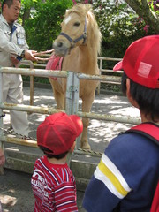 ポニーに乗りたがる次男