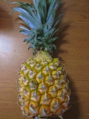 シフォンケーキお届けしました。　３