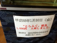 とらふぐ