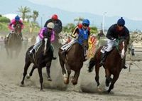 さがら草競馬