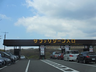 サファリパークで
