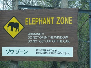 サファリパークで