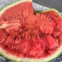 暑い日の楽しみ