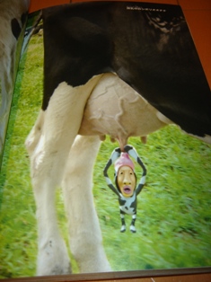 キモかわわーるど